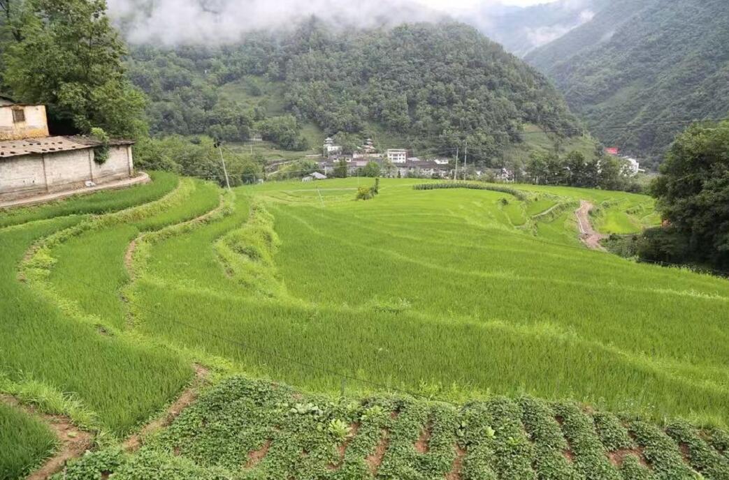 重庆市城口县水土保持工程建设以奖代补试点建设高标准农田