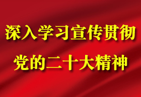 深入学习宣传贯彻党的二十大精神
