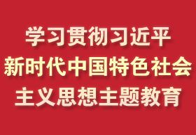 学习贯彻习近平新时代中国特色社会主义思想主题教育