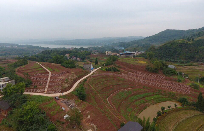 08合江坡耕地2s.jpg