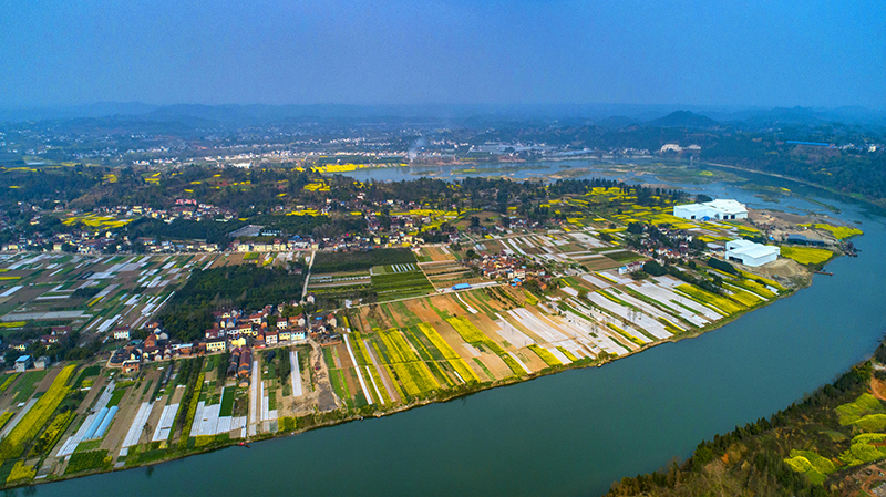 资阳市董家坝水土保持景观（图片来源 王勇）s.jpg