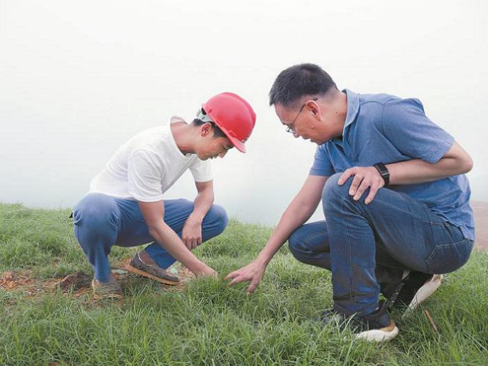 工作人员查看植被生长情况。.JPG
