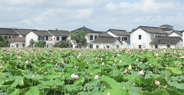 莲湖村照片.JPG