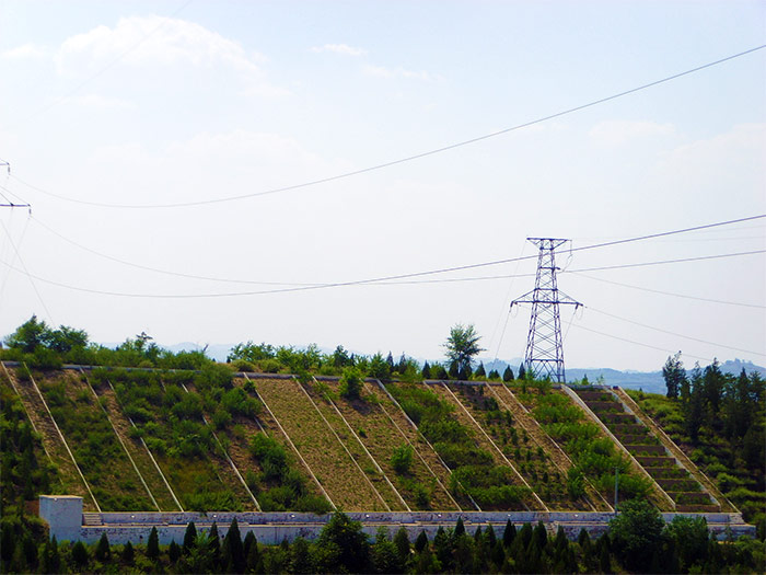 1647248369702665.jpg 不同水保措施径流小区.jpg