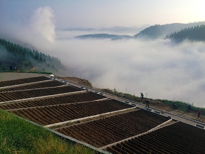 1647248379982114.jpg 不同坡度径流小区.jpg