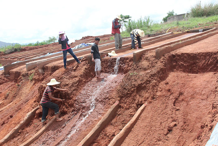 1647257308175483.jpg 科学研究.jpg