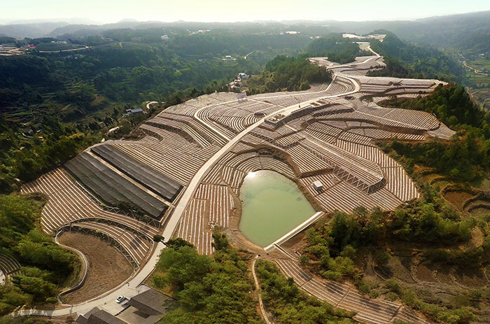 1旺苍木门水?？萍际痉对暗啬じ哺?jpg