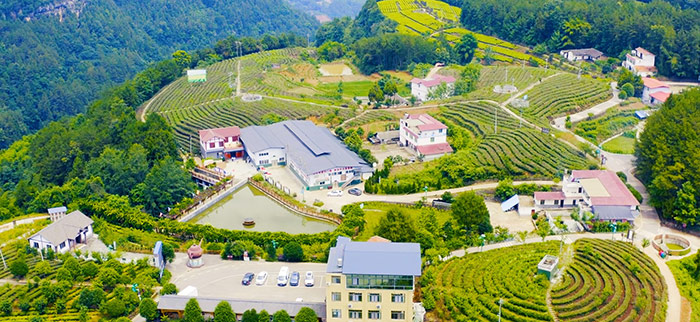 2旺苍木门水?？萍际痉对胺裰行?jpg