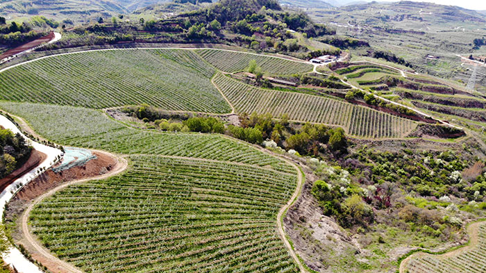 1647308221997304.jpg 1水土保持综合治理示范区.jpg