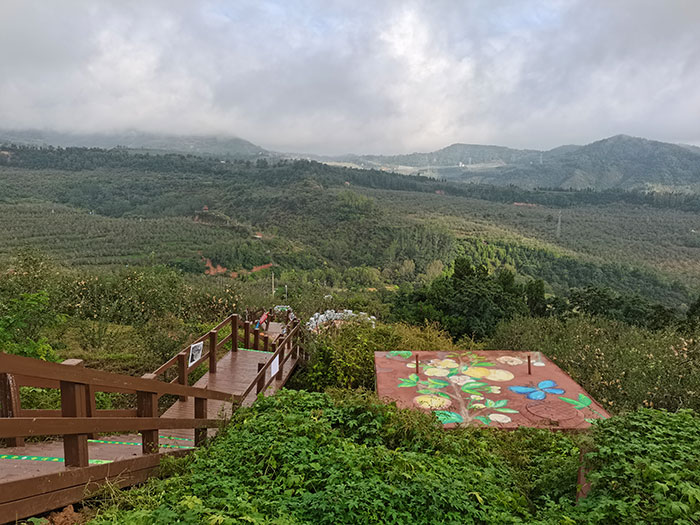 1647308253944375.jpg 3生态修复.jpg