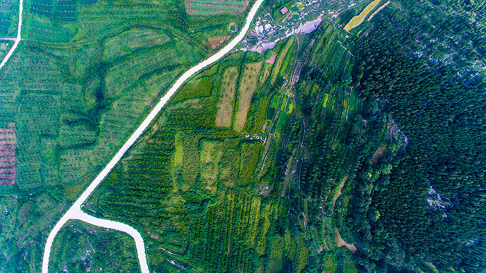 1647357461131462.jpg 2经果林及水保林.jpg