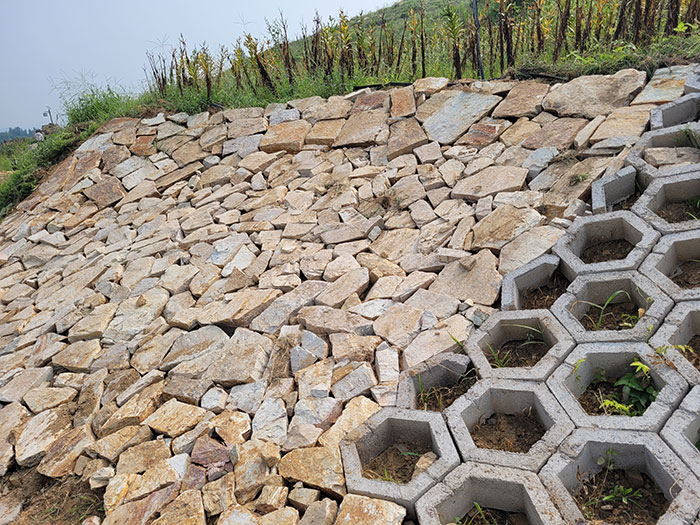 1647358889114929.jpg 2多种护坡形式集中展示.jpg