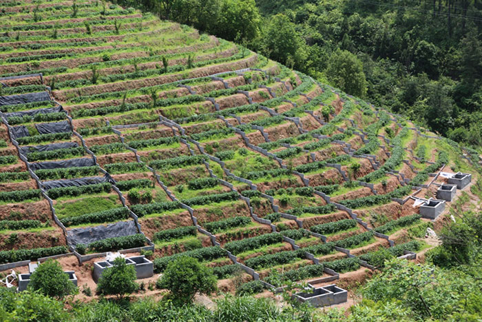 1647365564115626.jpg 2径流小区.jpg