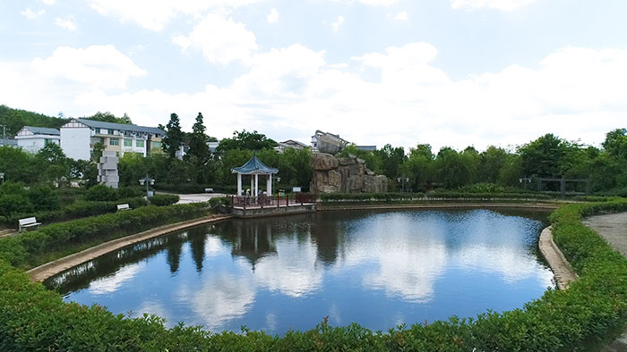 3美丽的杨边水保公园.jpg