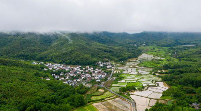 6峨山镇东岛村.jpg