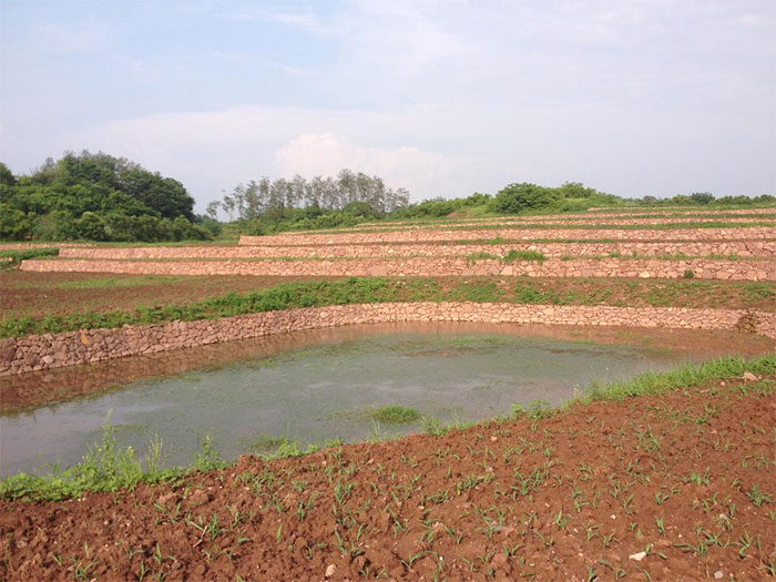 1647370504916017.jpg 歙县2016年坡改梯项目建设.jpg