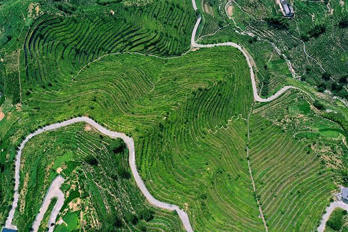 1647370578134310.jpg 歙县璜田乡蜈蚣岭石坎梯田.jpg