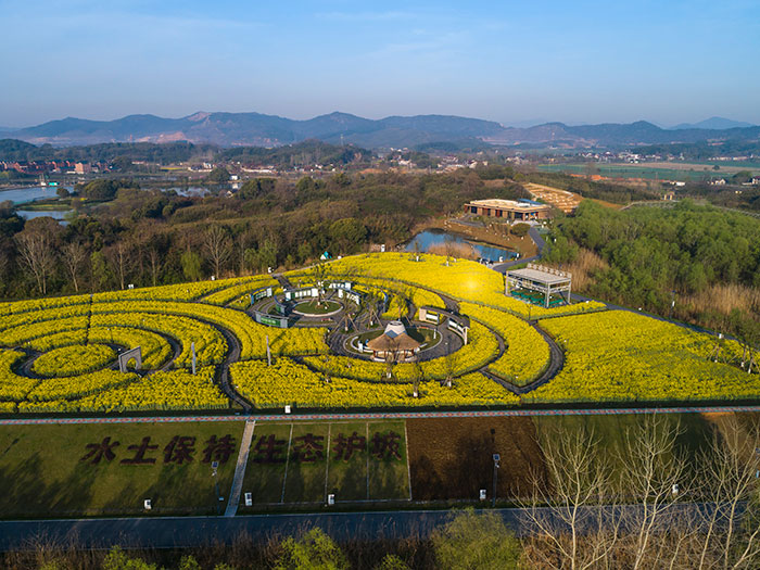 1647373068108354.jpg 1.jpg