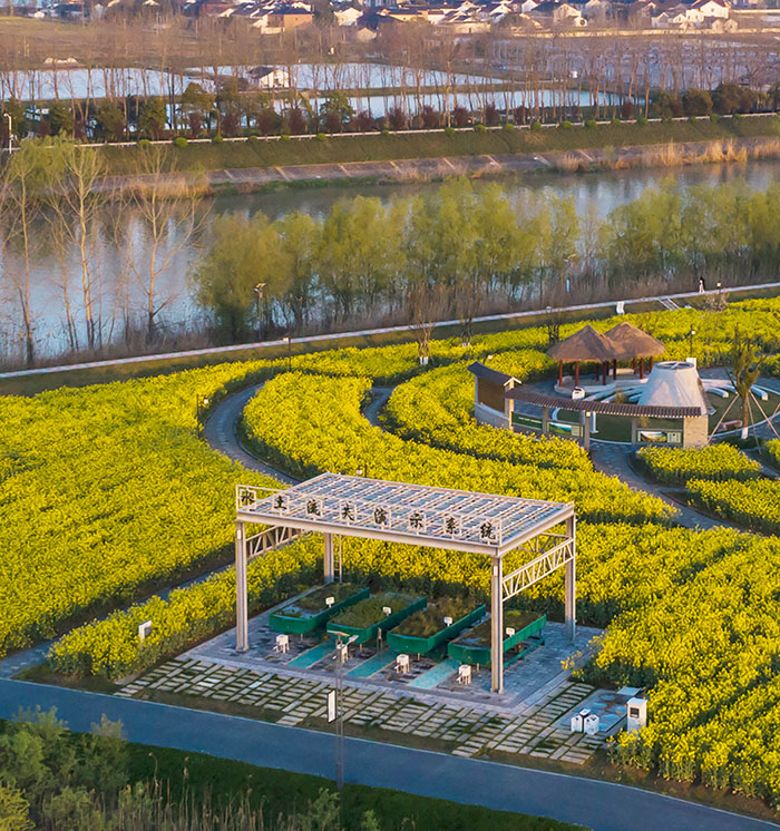 1647373084309828.jpg 2.jpg