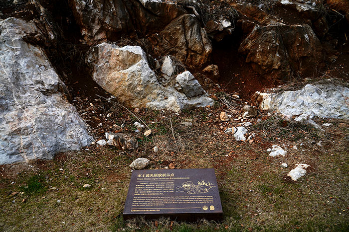 1647375848316972.jpg 7.jpg