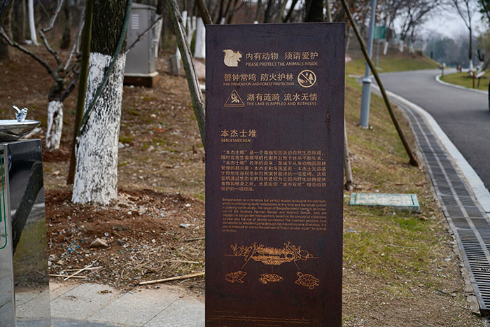 1647375883238008.jpg 10.jpg