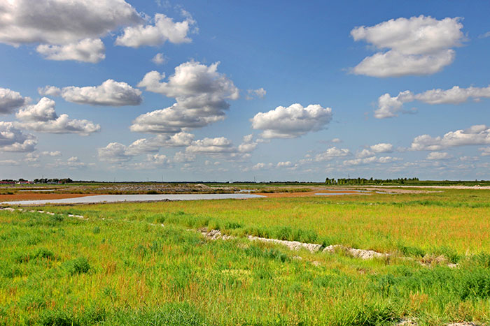 1647376479139663.jpg 2吉林省通榆水土保持科技示范园--退化草地生态恢复效果.jpg