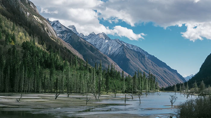 1647516518107325.jpg 1.jpg