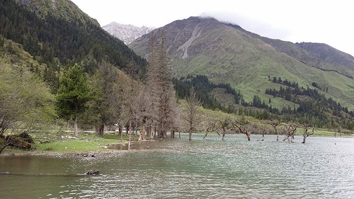 1647516539673877.jpg 3.jpg