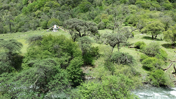 1647516551192696.jpg 5.jpg