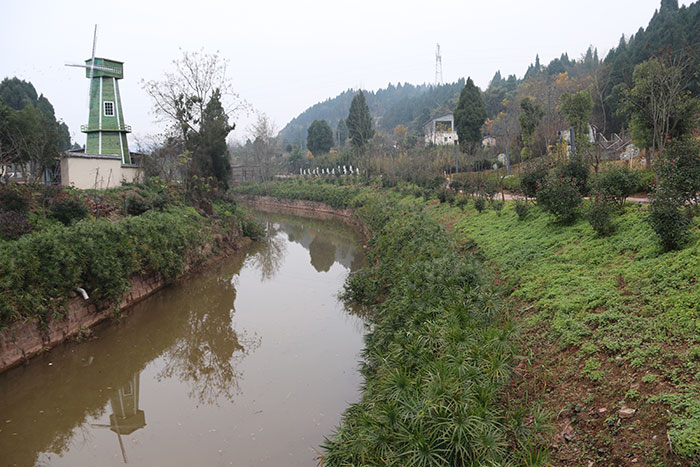 1647517432116732.jpg 4河道.jpg