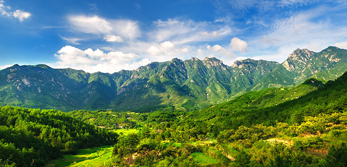 1647517857100431.jpg 1青山秀峰.jpg