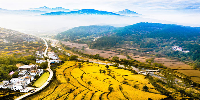 1647517881666992.jpg 2田园风光.jpg