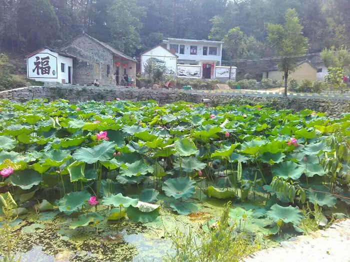 1647517955805425.jpg 6水质净化.jpg