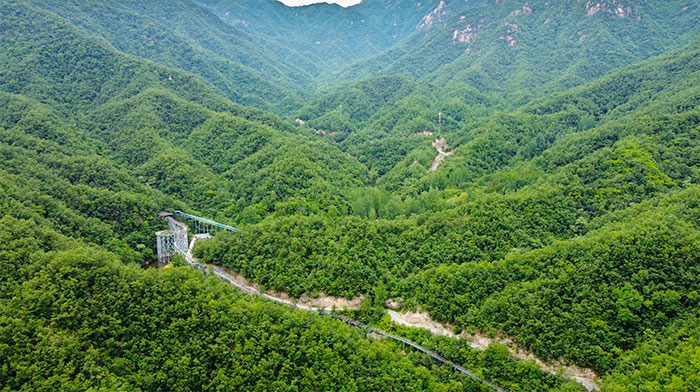 1647518535129977.jpg 3封山育林.jpg