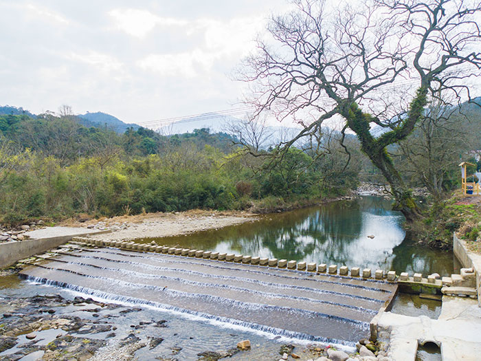 1647520636110045.jpg 4拦沙堰.jpg