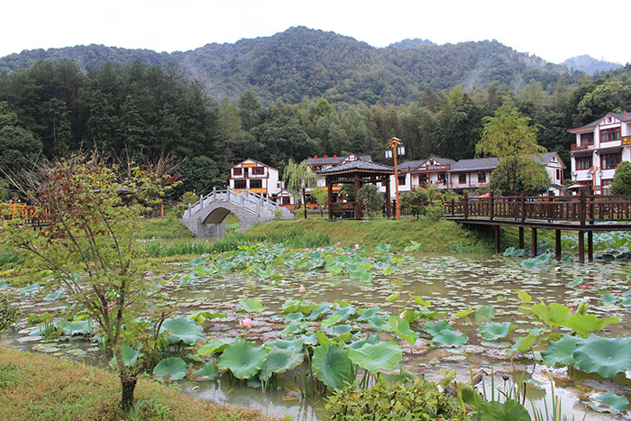 1647520691108913.jpg 村内-(1).jpg