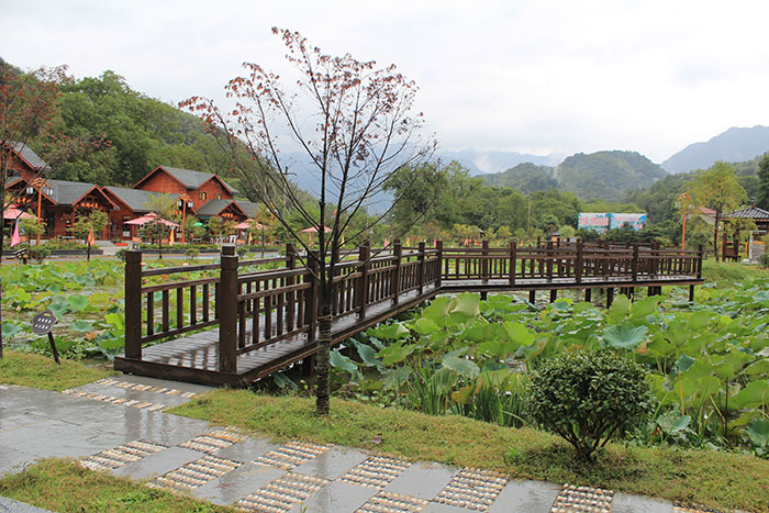 1647520737428080.jpg 村内-(4).jpg