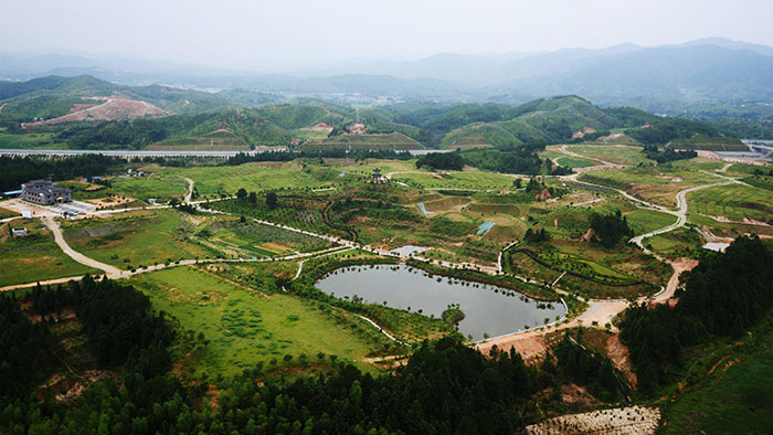 1647521062970323.jpg 1.jpg