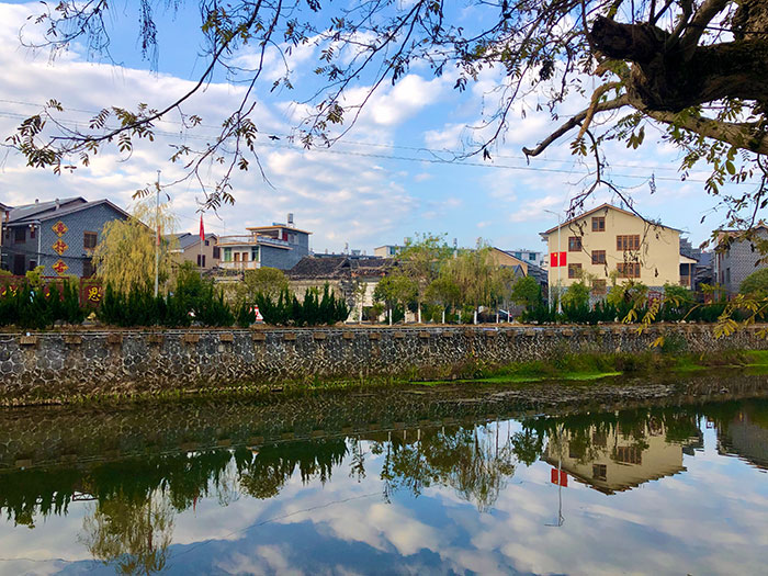 1647521074545341.jpg 3.jpg