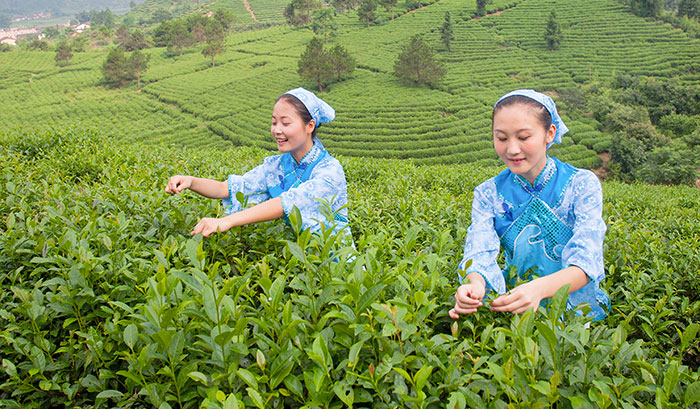 1647521087109335.jpg 5.jpg