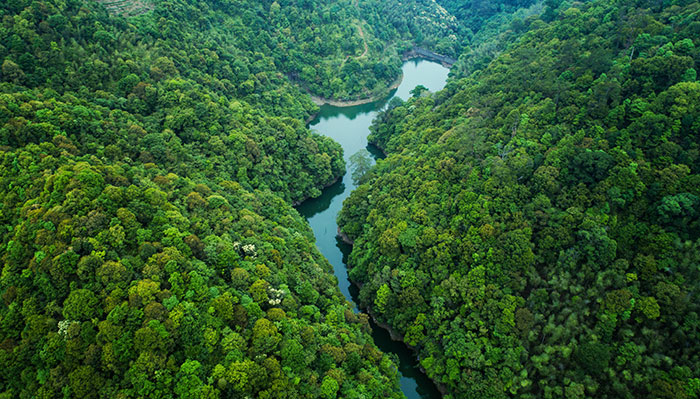 1647522384117080.jpg 2绿水青山.jpg