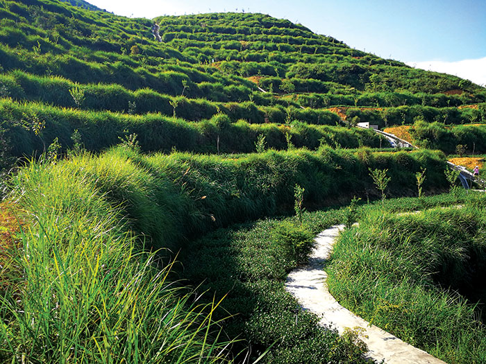 1647522409260041.jpg 3坡耕地治理.jpg