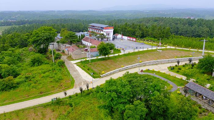 1647523302557003.jpg 3柴尹村村容村貌.jpg