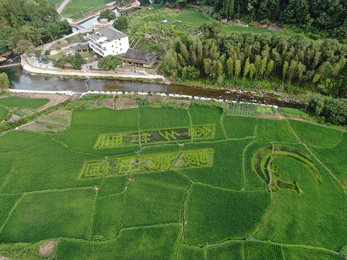 1647524598100608.jpg 1美丽田园.jpg