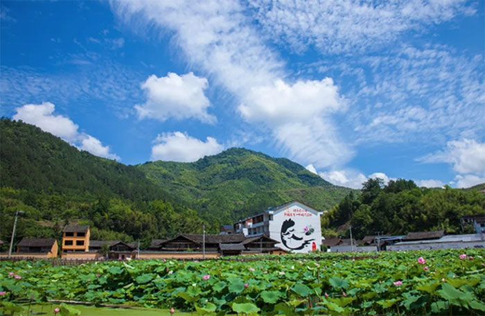 1647524694132339.jpg 6里光村村容村貌.jpg