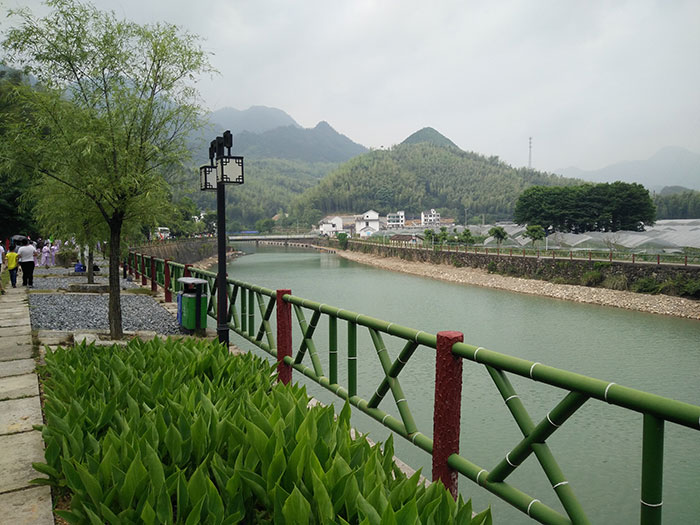 10植物?；ご?jpg