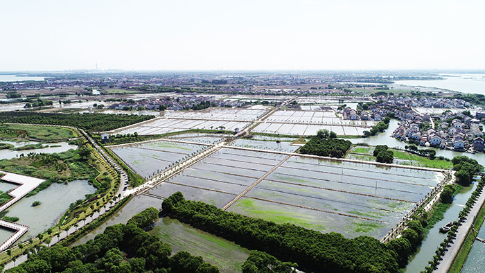 1647525671938394.jpg 1高空.jpg