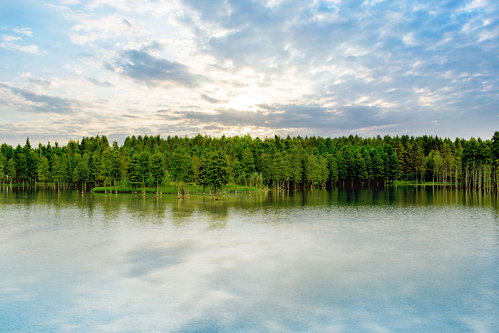 1647525753224841.jpg 5郊野公园3.jpg