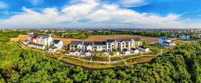 1647525925585662.jpg 1.jpg