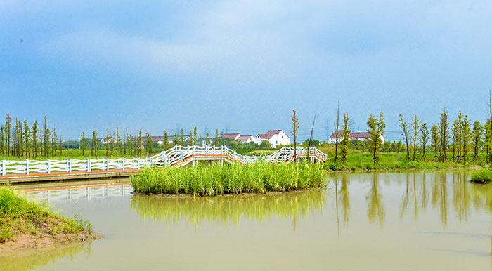 1647525941139044.jpg 4.jpg